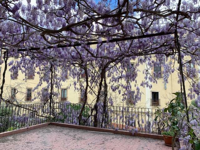 Il Glicine Apartment Catania