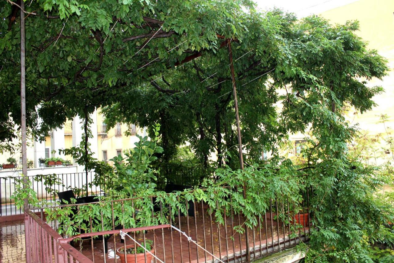 Il Glicine Apartment *