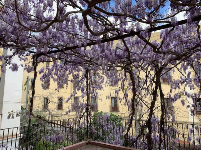 Il Glicine * CTA